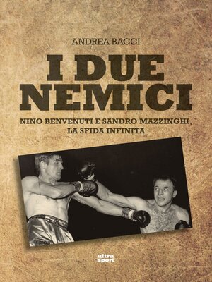 cover image of I due nemici